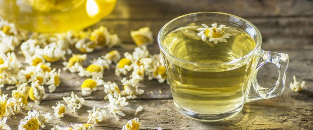 Foto - Papatya çayının bu faydalarını duyan aktara koşuyor!