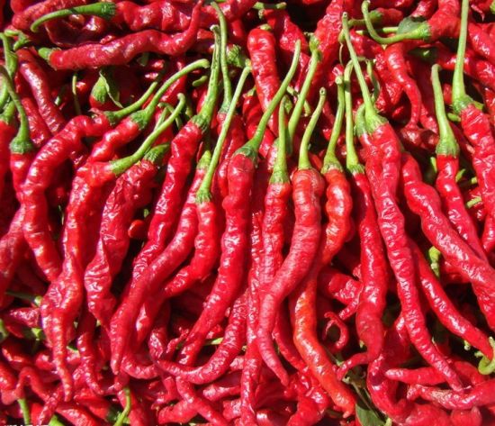 Foto - Paprikanın şaşırtan faydaları