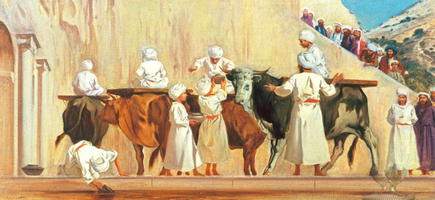 Foto - ‘Para Aduma’ Kırmızı Düve nedir?... İsrail’in teolojik planı! Altından tapınak şövalyeleri çıktı