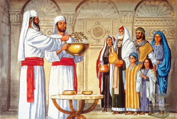 Foto - ‘Para Aduma’ Kırmızı Düve nedir?... İsrail’in teolojik planı! Altından tapınak şövalyeleri çıktı