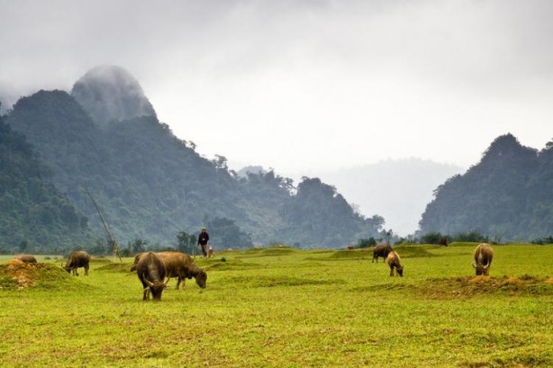 Foto - Para basacak köyler belli oldu! Dünya listesine girdiler