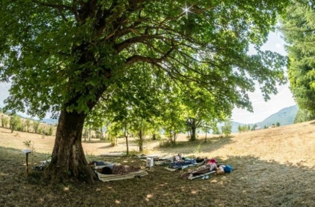 Foto - Para ödülü sahibini bekliyor! En tembel vatandaş kim?