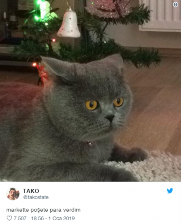 Foto - Paralı poşete sosyal medyadan tepki yağdı