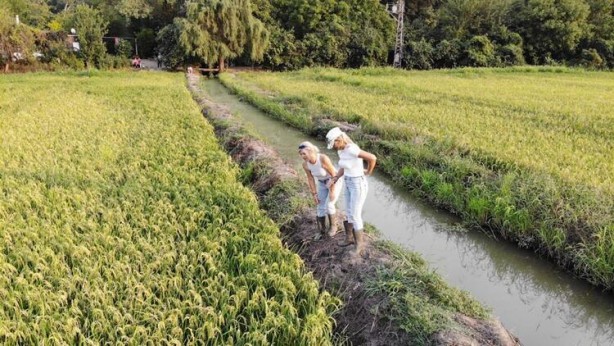 Foto - Paraya para demiyorlar! Beyaz altına talep yağdı