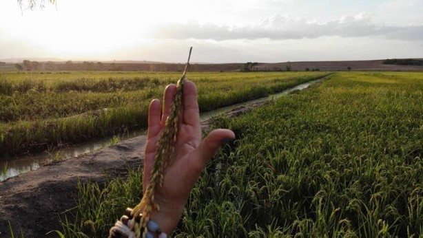 Foto - Paraya para demiyorlar! Beyaz altına talep yağdı