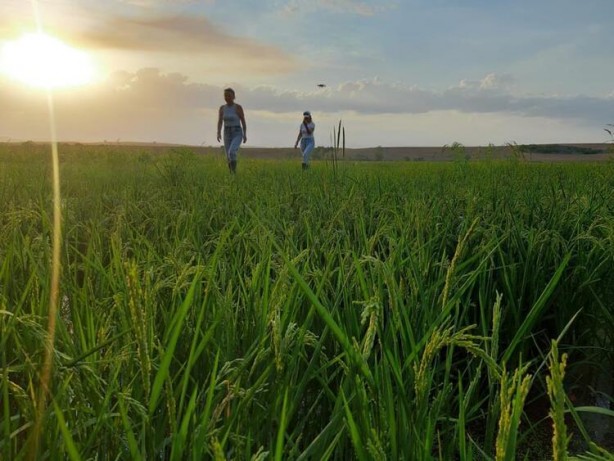 Foto - Paraya para demiyorlar! Beyaz altına talep yağdı
