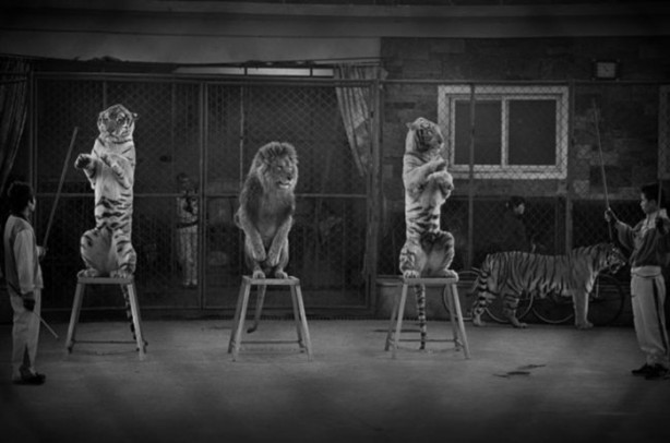 Foto - Doğadan muhteşem kareler