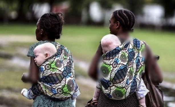 Foto - Parçalayıp satıyorlar...