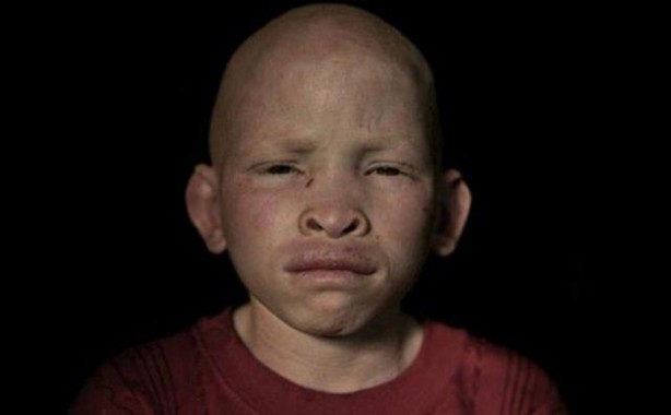 Foto - Parçalayıp satıyorlar...