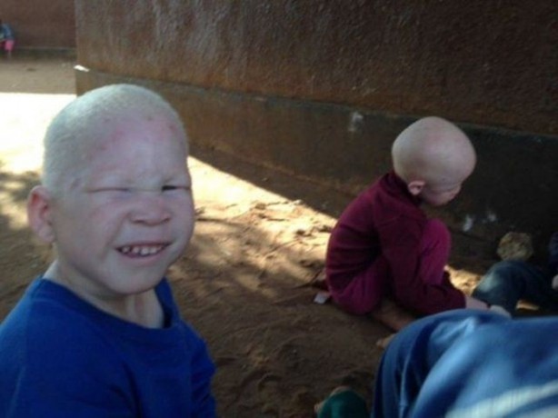 Foto - Parçalayıp satıyorlar...