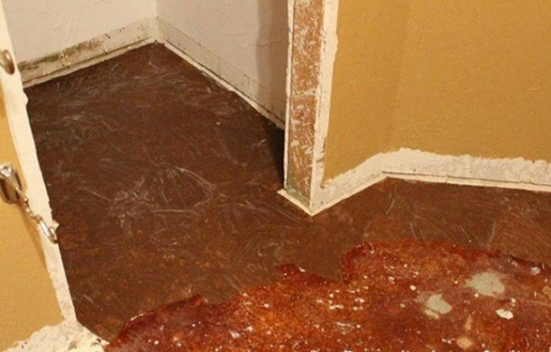 Foto - Parke kaplatmak yerine öyle bir şey yaptı ki!