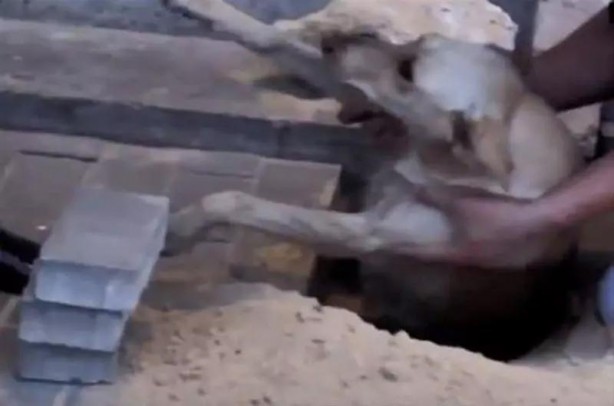 Foto - Parke taşlarını tek tek söktü! Altından çıkanı gören gözlerine inanamadı!