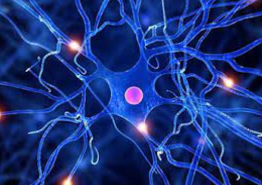 Foto - Parkinson hastalığı için umut doğdu