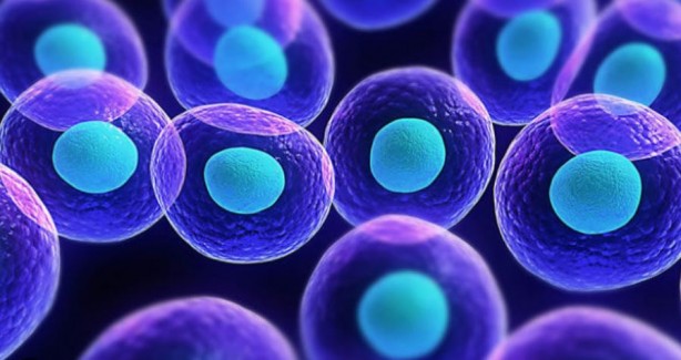 Foto - Parkinson hastalığı için umut doğdu