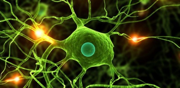 Foto - Parkinson hastalığı için umut doğdu