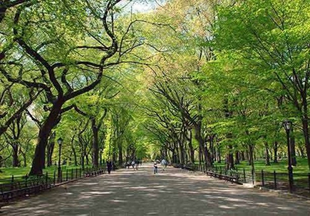 Foto - Parkların insan sağlığına etkileri