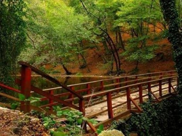 Foto - Parkların insan sağlığına etkileri