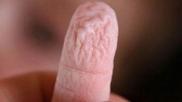 Foto - Parmaklar suda neden buruşur? İşte büyük mucize