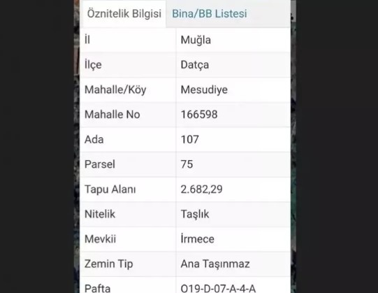 Foto - Parsel Parsel satmış! Muhtarın arazi vurgunu