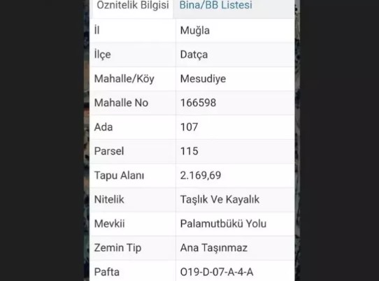 Foto - Parsel Parsel satmış! Muhtarın arazi vurgunu