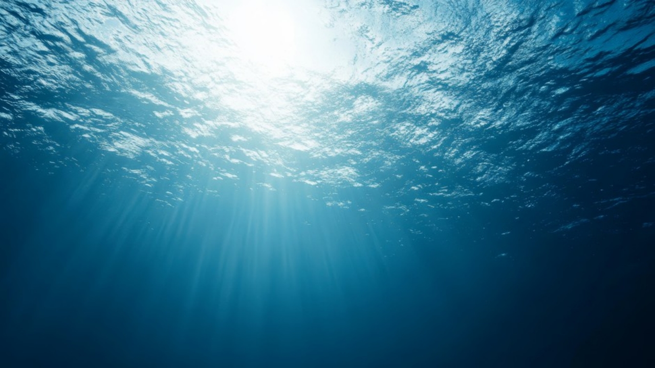 Pasifik Okyanusu’nda dünyayı ayağa kaldıran keşif! Herkes şaşkın