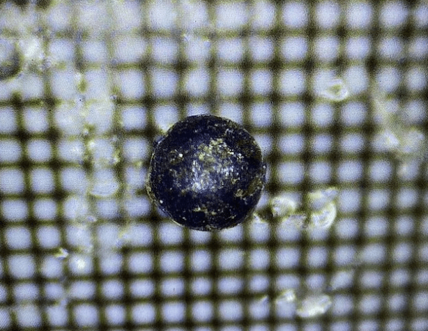 Foto - Pasifik'in dibinde bulundu! Araştırmacılar yaptıkları incelemeden sonra hemen dünyaya büyük haberi verdi! Böyle bir şeye ilk defa tanık oldular