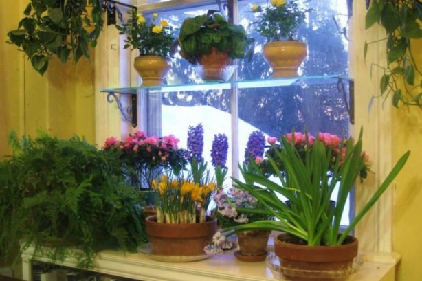 Foto - Paslı çivilerin inanılmaz faydası! Bunu duyan resmen aydınlanıyor