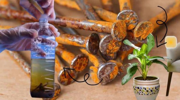 Paslı çivilerin inanılmaz faydası! Bunu duyan resmen aydınlanıyor