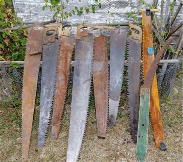 Foto - Paslı testereyi öyle bir şeye çevirdi ki