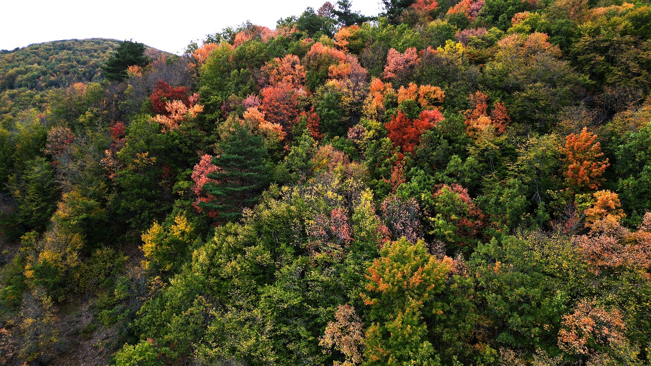 Foto - Pastel tonların buluşması: Dipsiz Göl Şelalesi