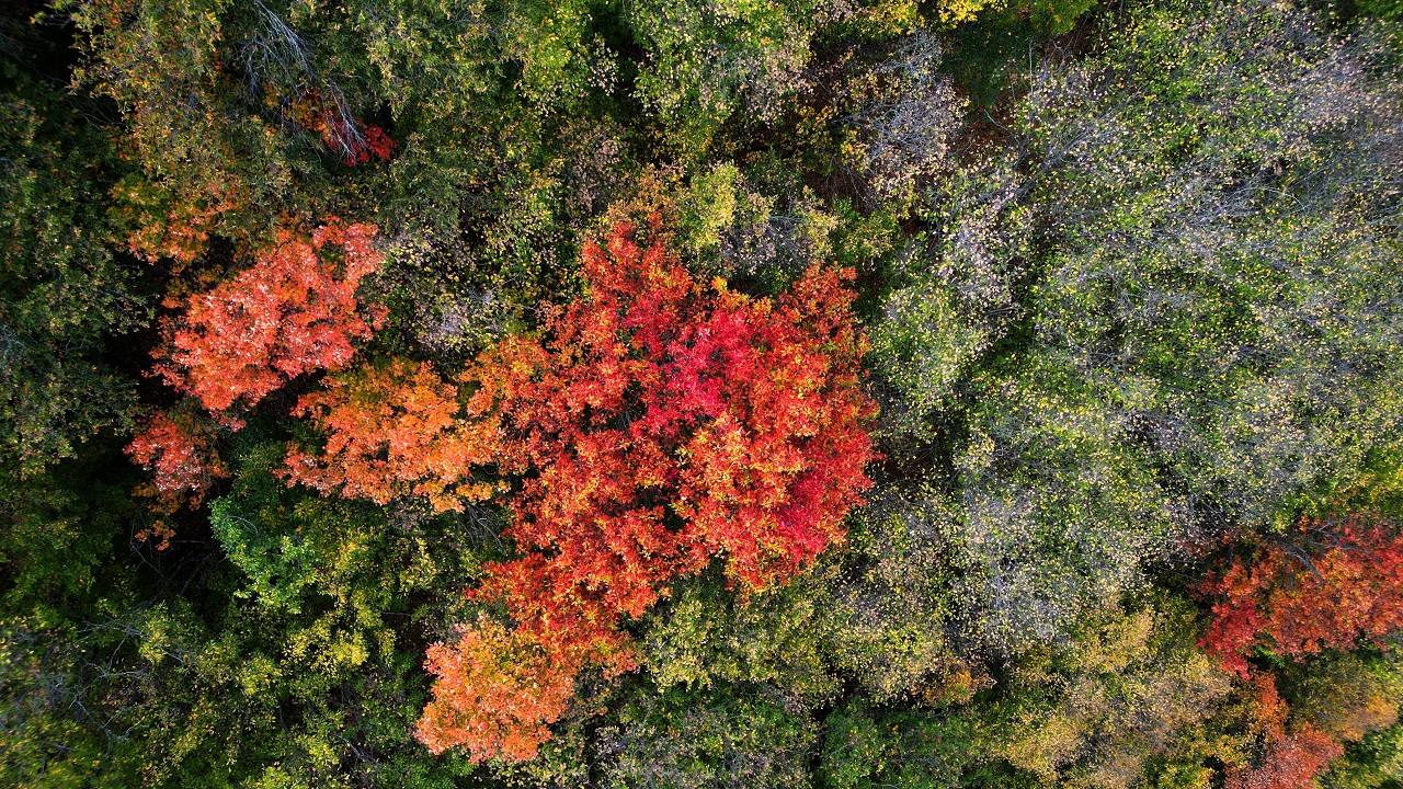 Foto - Pastel tonların buluşması: Dipsiz Göl Şelalesi
