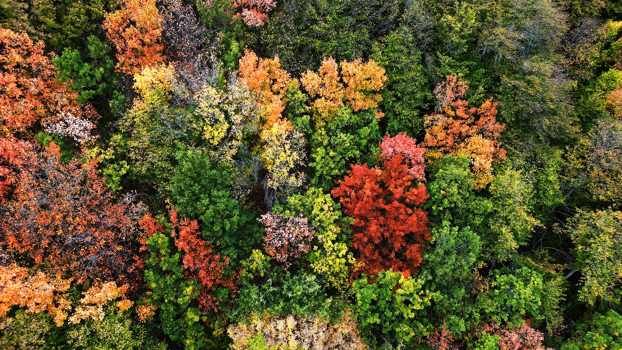 Foto - Pastel tonların buluşması: Dipsiz Göl Şelalesi