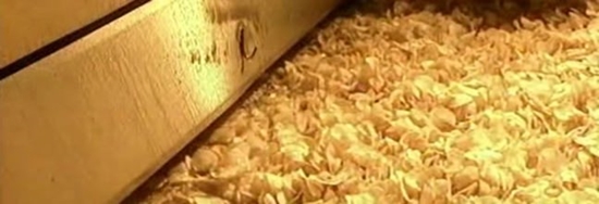 Foto - Patates cipsi nasıl yapılıyor?