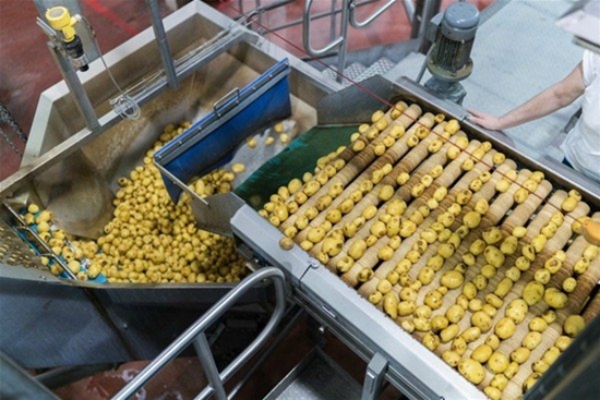 Foto - Patates cipsi nasıl yapılıyor?