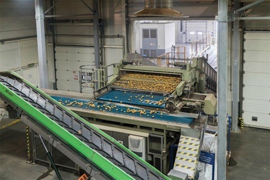 Foto - Patates cipsi nasıl yapılıyor?