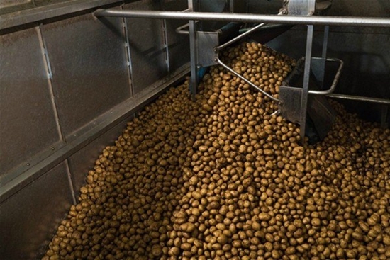 Foto - Patates cipsi nasıl yapılıyor?