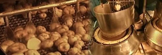 Foto - Patates cipsi nasıl yapılıyor?