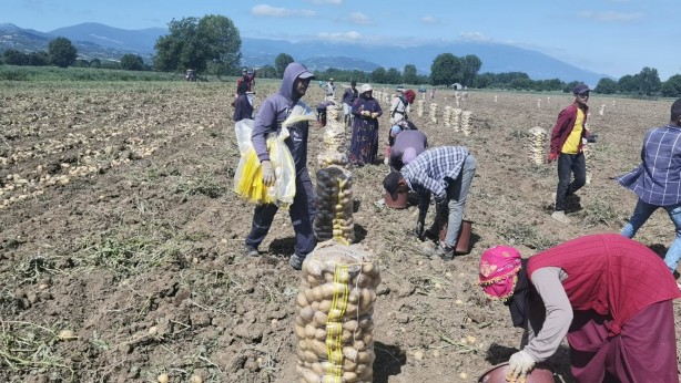 Foto - Patates fiyatları keyfinizi kaçıracak! Tarladan çıkış fiyatını görenler gözlerine inanamadı