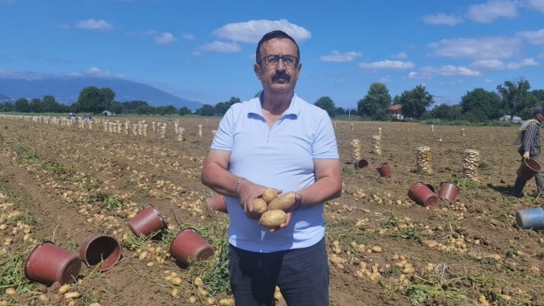 Foto - Patates fiyatları keyfinizi kaçıracak! Tarladan çıkış fiyatını görenler gözlerine inanamadı