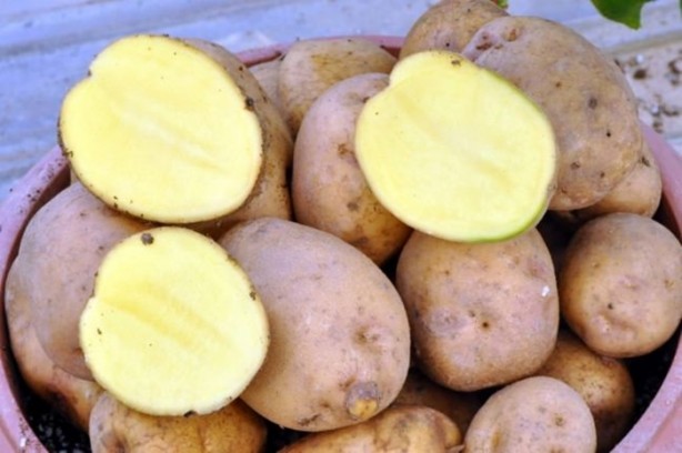 Foto - Patates hakkında duyduklarınıza çok şaşıracaksınız