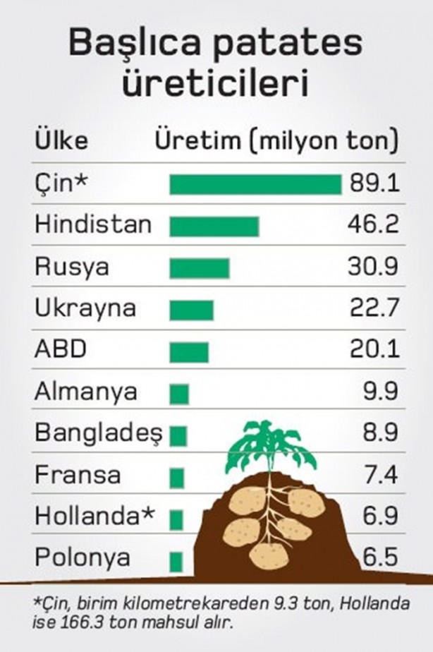 Foto - Patates hakkında duyduklarınıza çok şaşıracaksınız