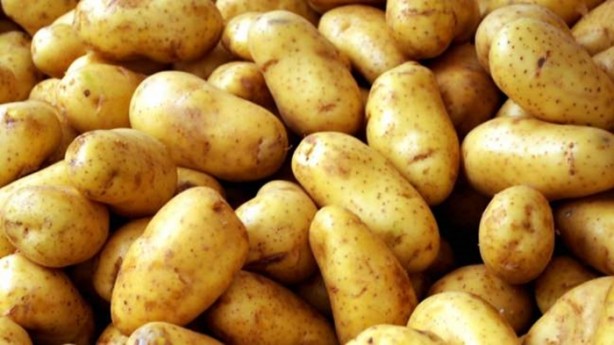 Foto - Patates hakkında duyduklarınıza çok şaşıracaksınız