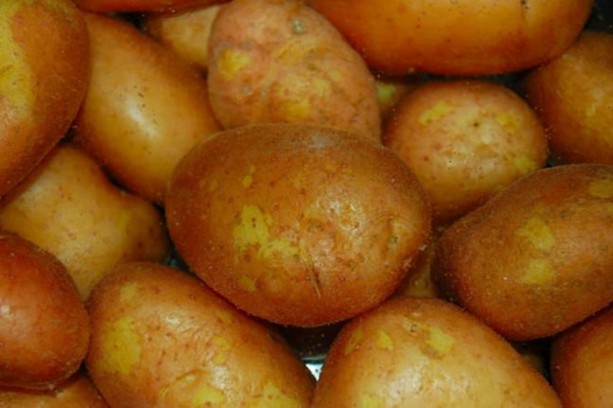 Foto - Patates hakkında duyduklarınıza çok şaşıracaksınız