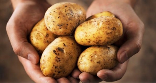 Foto - Patates hakkında duyduklarınıza çok şaşıracaksınız