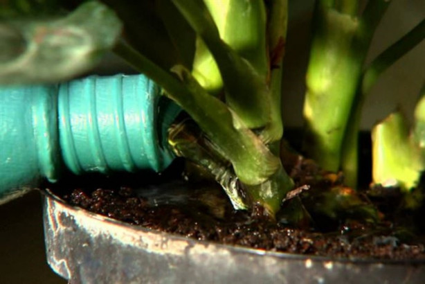 Foto - Patates haşladığınız suya turşu suyu eklerseniz...