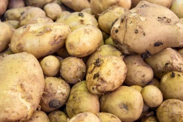  Patatesi buzdolabında saklarsanız...