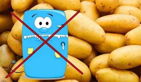 Foto - Patatesi sakın buzdolabına koymayın! Ölüm saçıyor