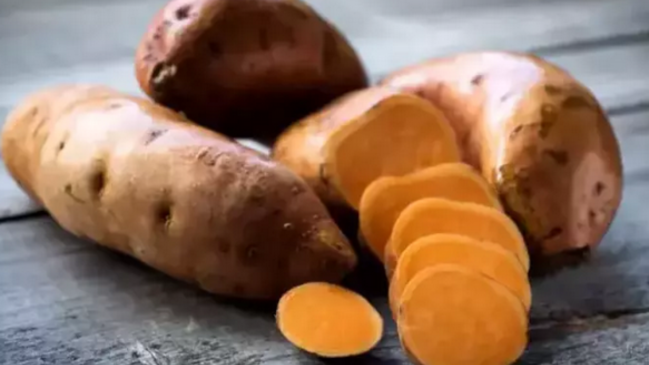 Foto - Patatesin bu çeşidini sık sık tüketin! Muhteşem içeriğiyle bağırsakları makine gibi çalıştırıyor