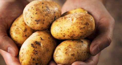 Foto - Patatesin yanına elma koyarsanız bakın ne oluyor! Deneyen şaşırıp kalıyor