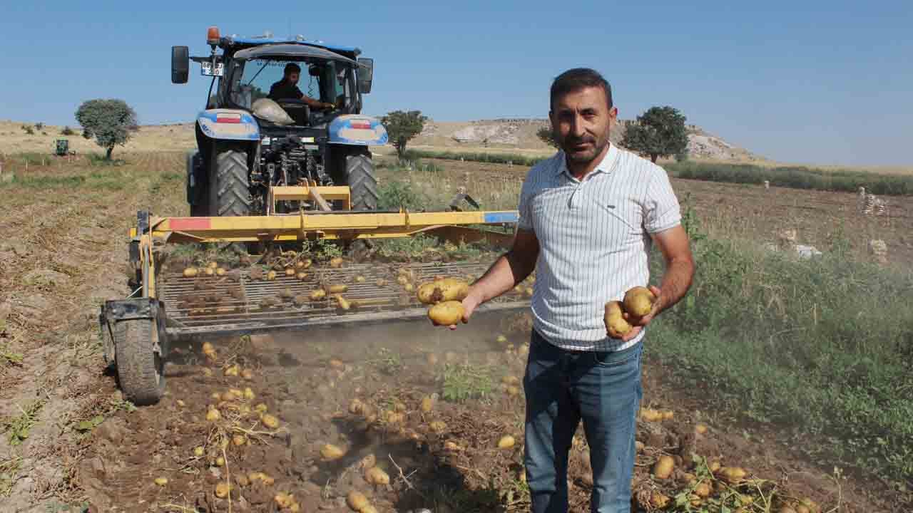 Patateste üretici fiyatı etikete yansımıyor: Tarladan çıkışı 10 lira markette satışı 40 lira